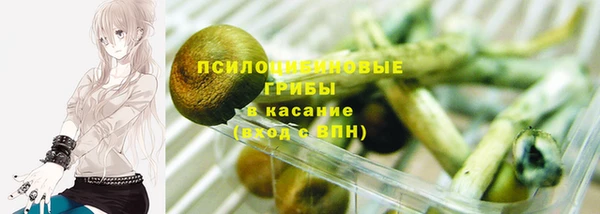 гидра Арсеньев