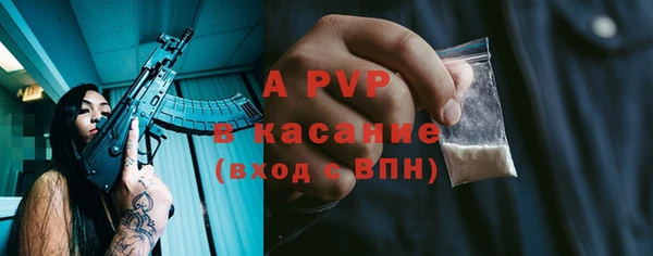 гидра Арсеньев