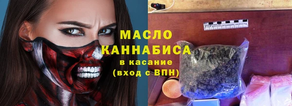 гидра Арсеньев