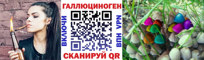 mega как войти  Сибай  Галлюциногенные грибы прущие грибы 